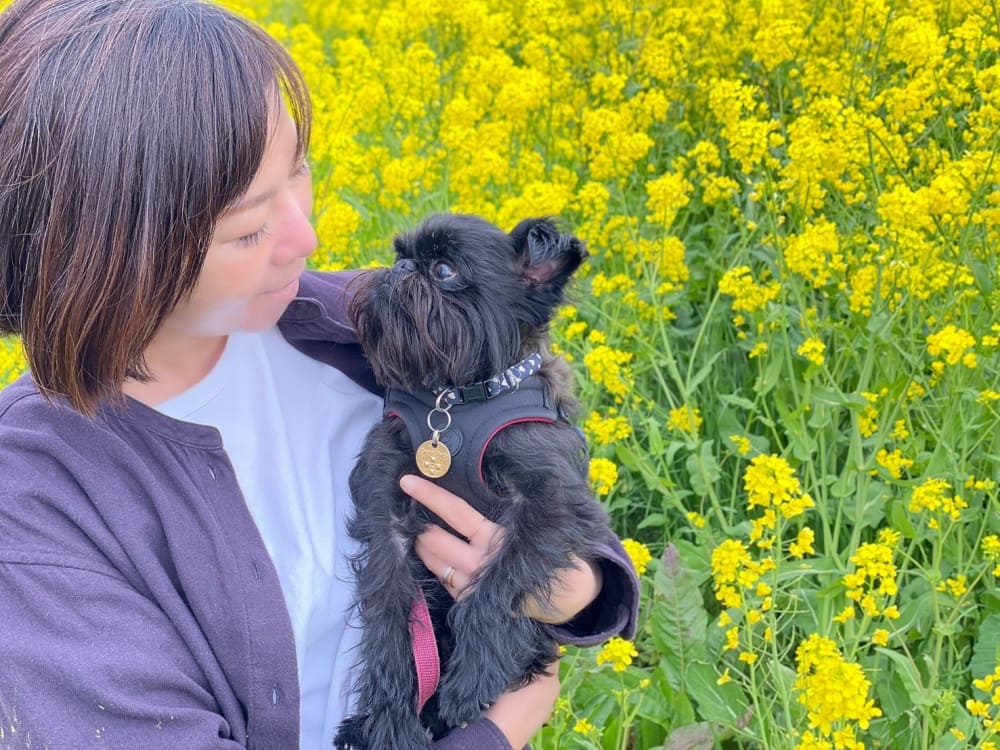 プロフィール写真