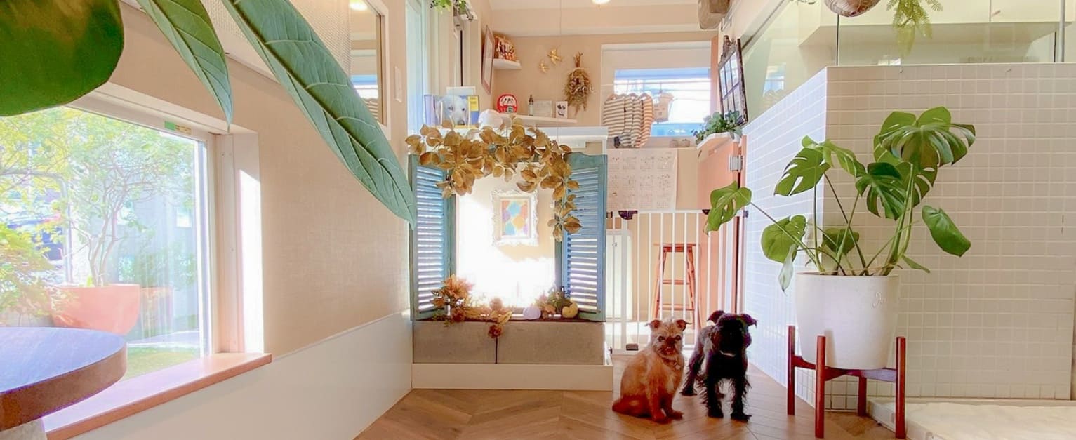 ご予約・お問い合わせ