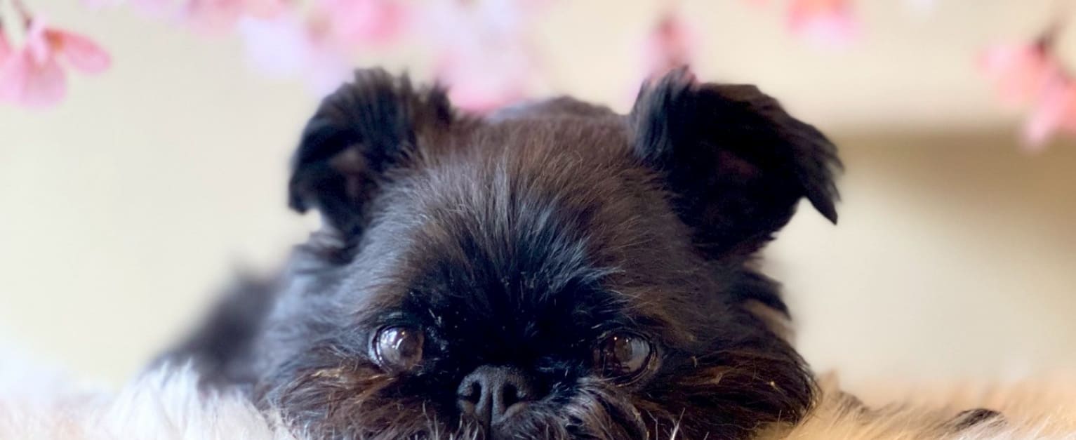 店主の気まぐれ撮影セット