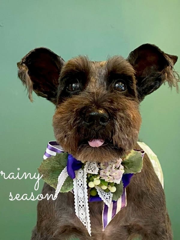 お誕生日月10%OFF