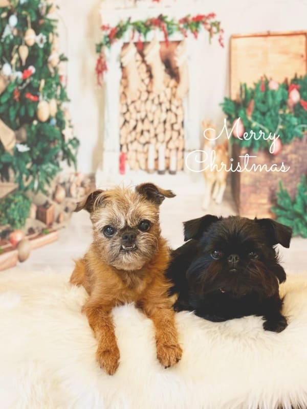 2ヶ月以内のご来店5%OFF