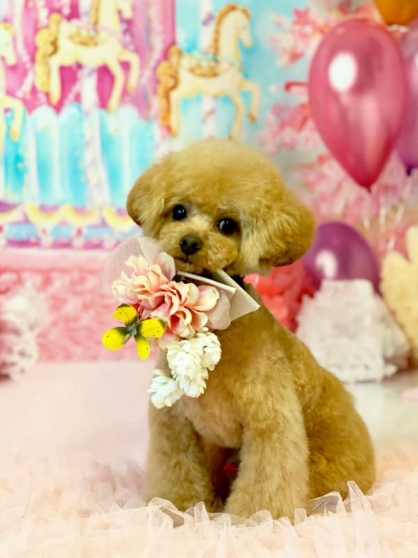 はじめましてのご来店10%OFF