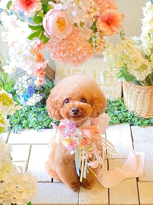 4週間以内のご来店10%OFF