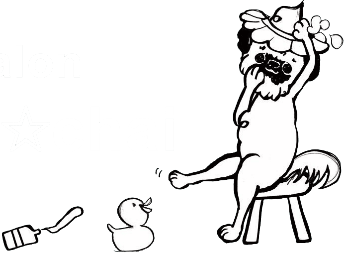 川口市で人気のトリミングサロン Dogroom☆Chaiロゴ