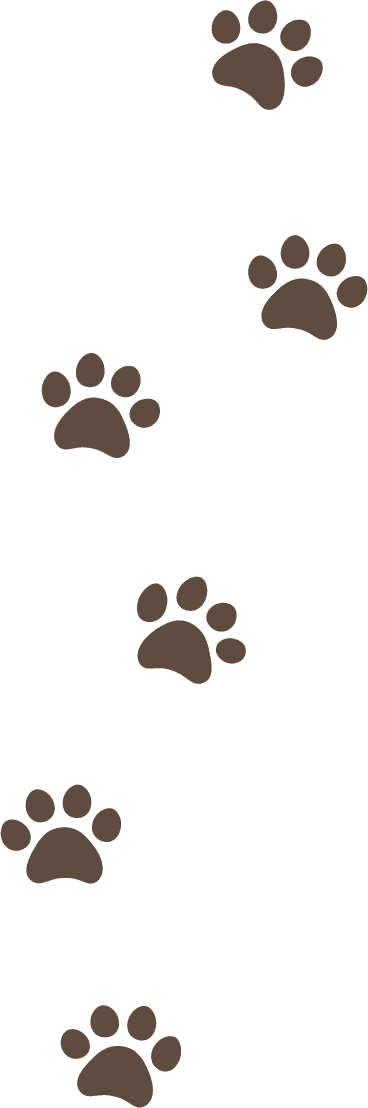 ワンちゃんの足跡イラスト